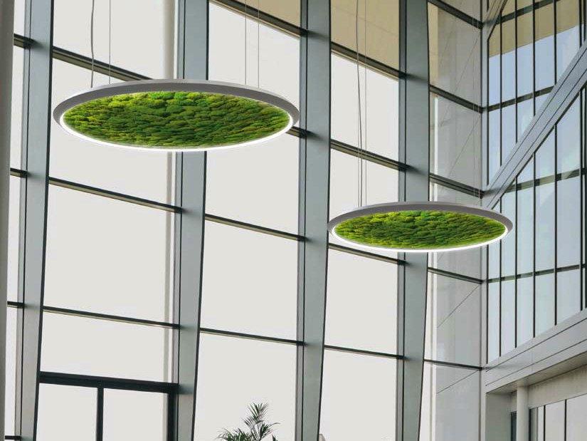 LUCE VERDE SLIM Dried moss LED pendant lamp