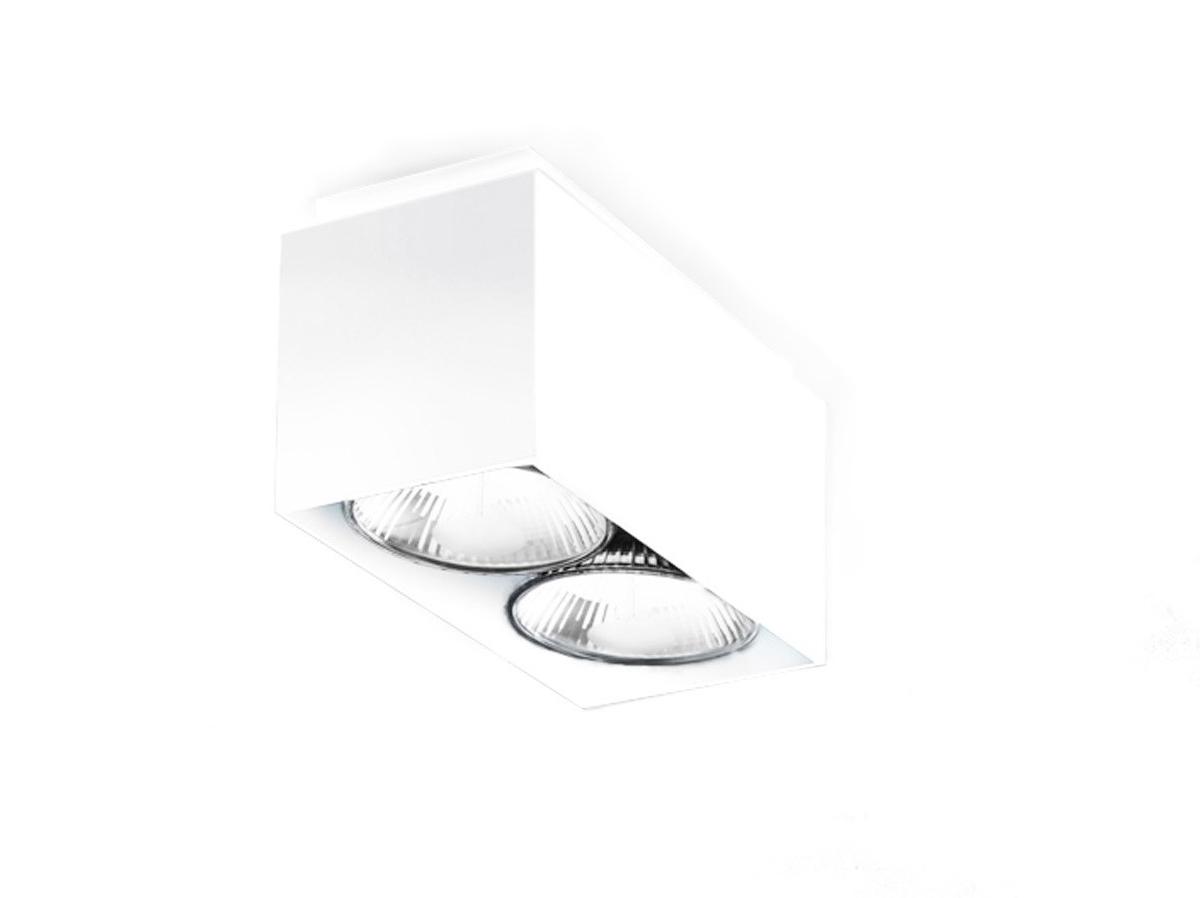 DUO Adjustable extruded aluminium ceiling lamp