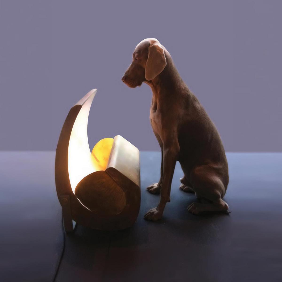 ESCARGOT Indirect light brass floor lamp