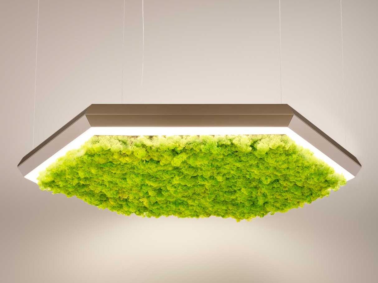 EXAGON SILENCE GREEN LED Lichen pendant lamp