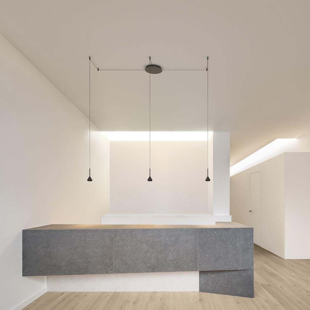 SPIN FANCY SHAPE LED adjustable aluminium pendant lamp