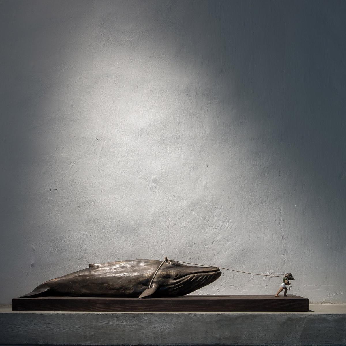 SPOT LED wall-mounted adjustable spotlight