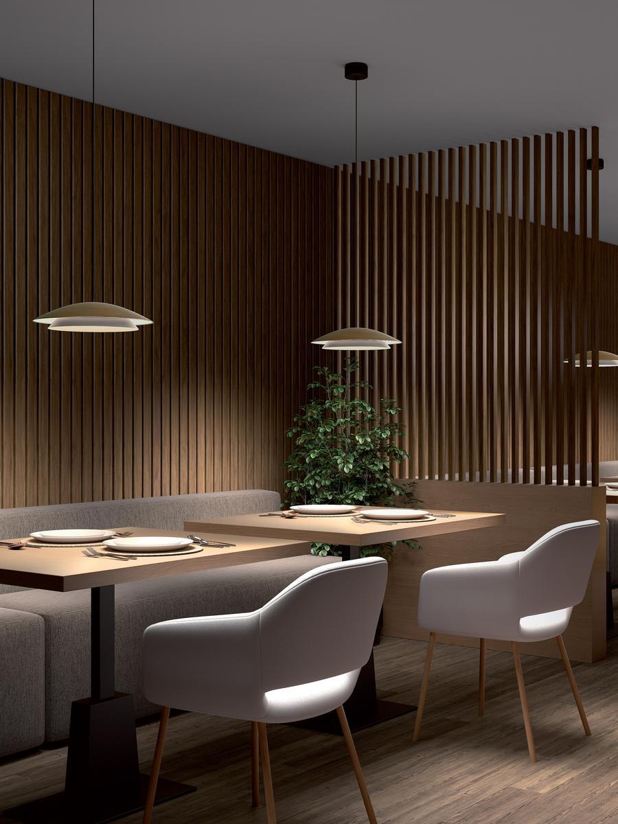 NOWAY LED steel pendant lamp