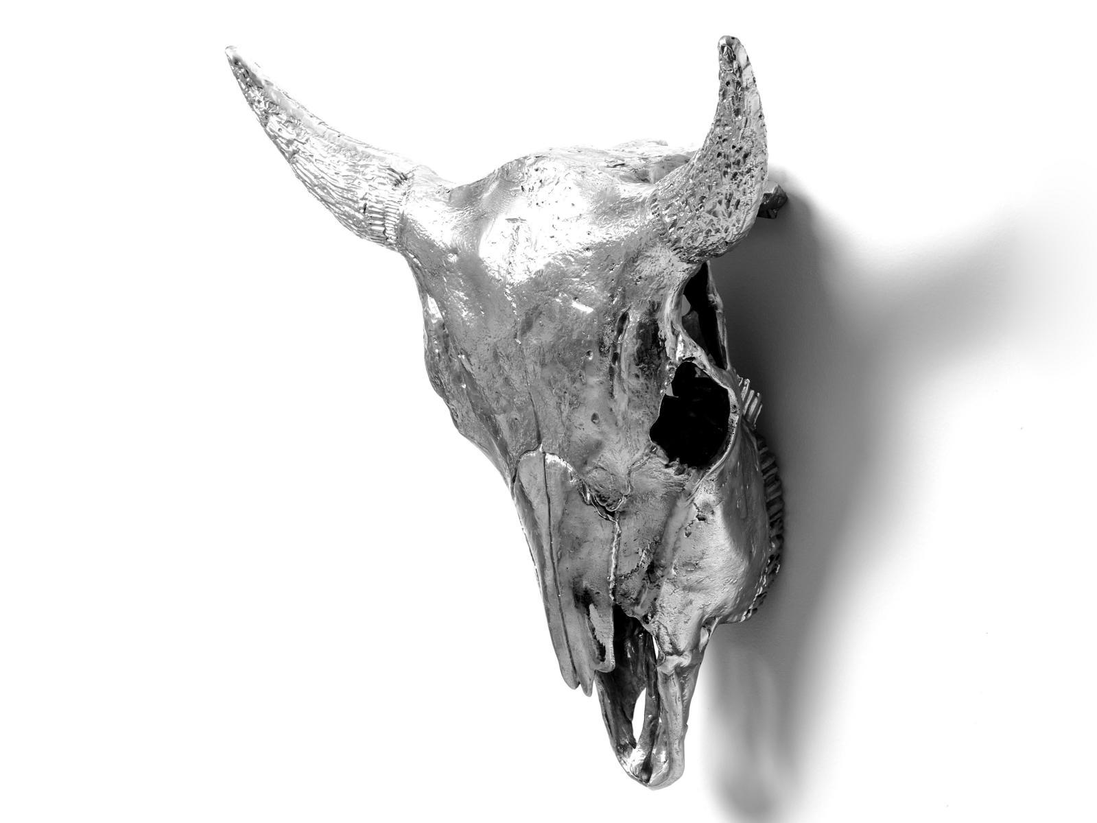 BISON SKULL Aluminium decorative object