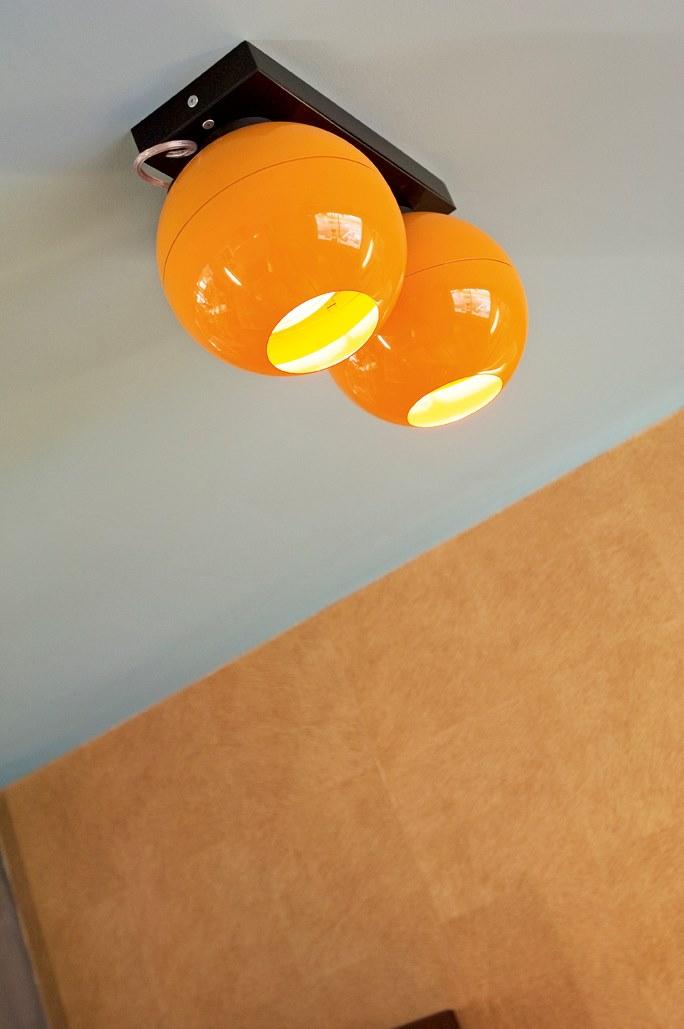 12-25 Adjustable metal ceiling lamp