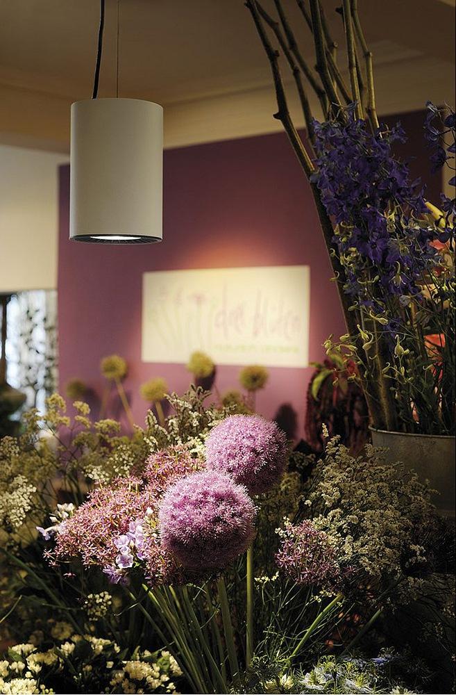 SUPROS Aluminium pendant lamp in a contemporary style