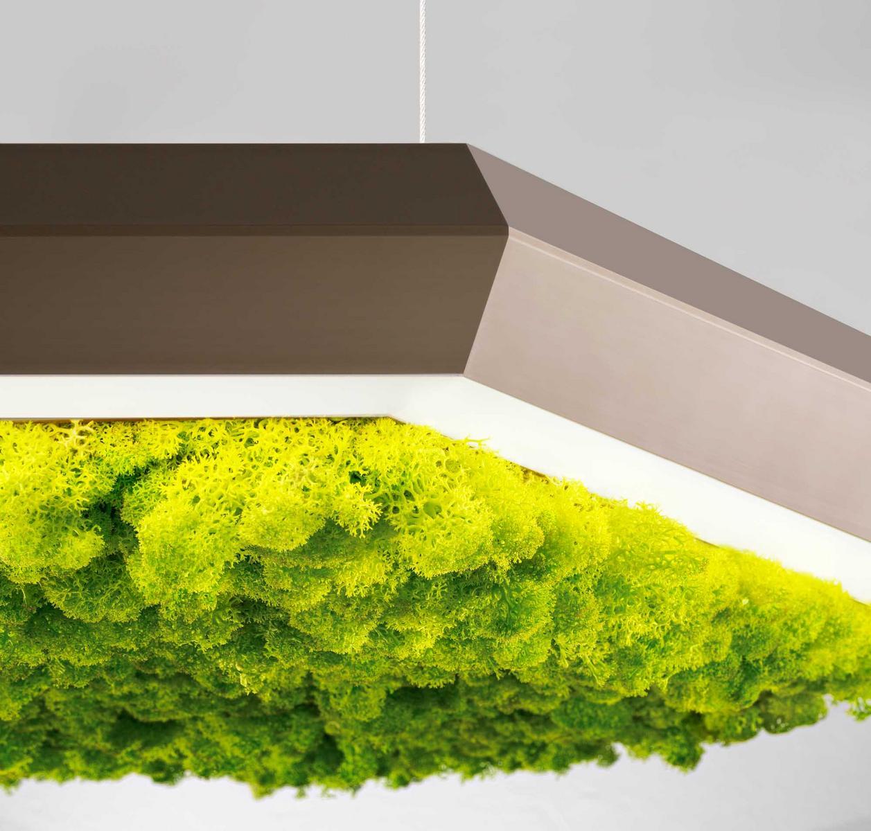 EXAGON SILENCE GREEN LED Lichen pendant lamp