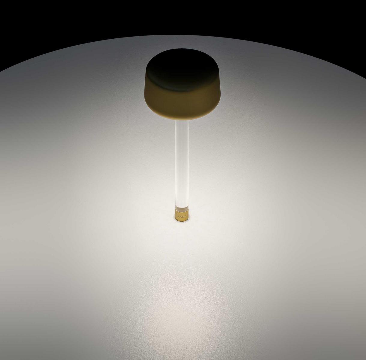 TEE LED cordless table lamp with USB charging