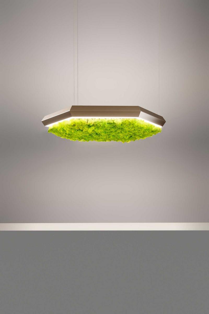 EXAGON SILENCE GREEN LED Lichen pendant lamp