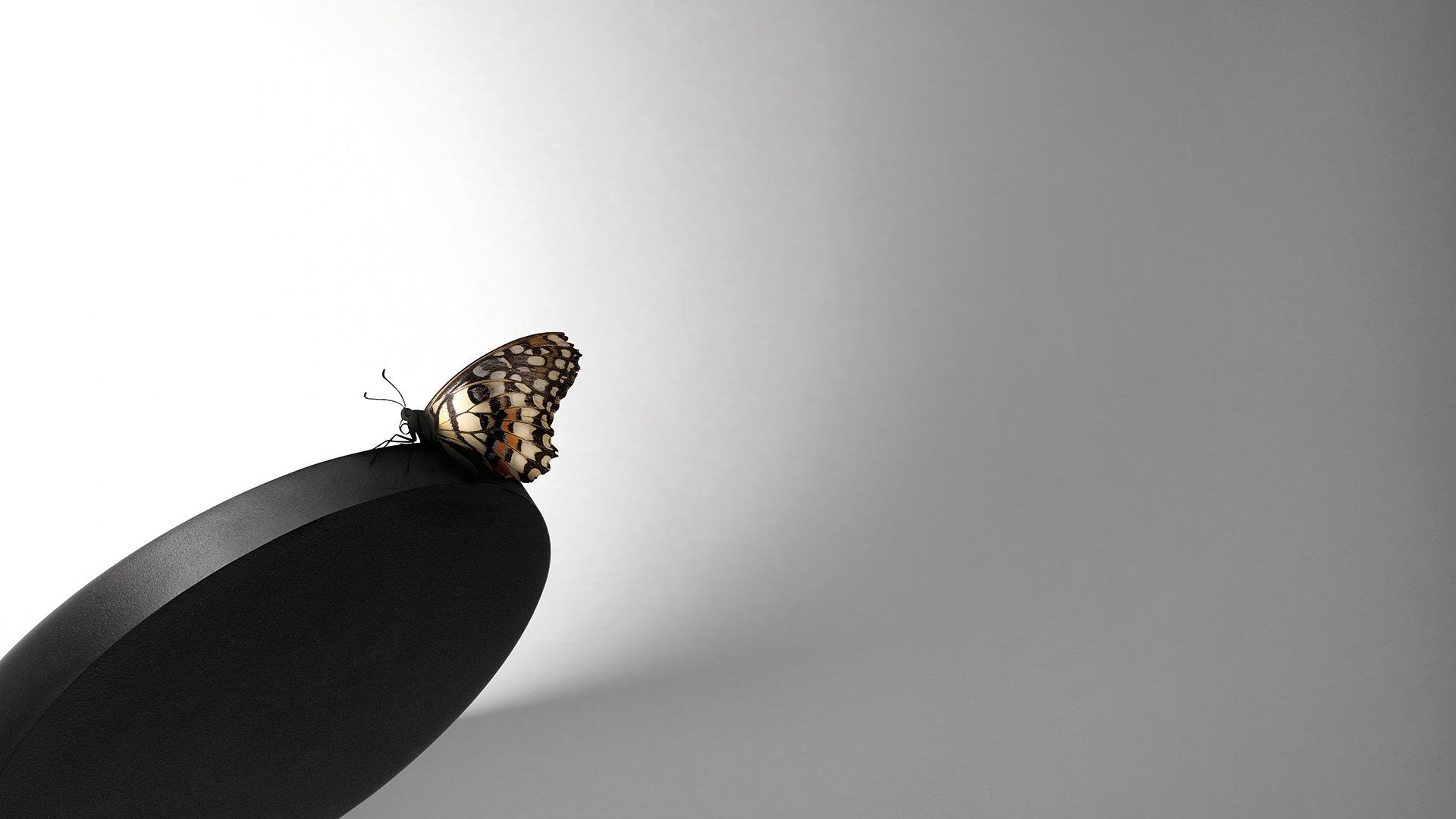 FLAP LED indirect light aluminium wall light