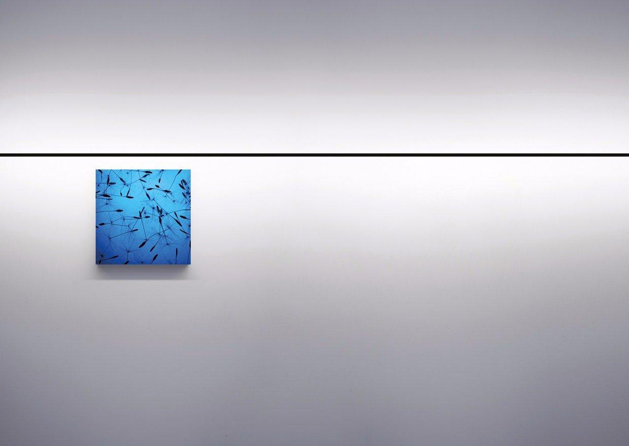 INFINITO Wall lamp / ceiling lamp