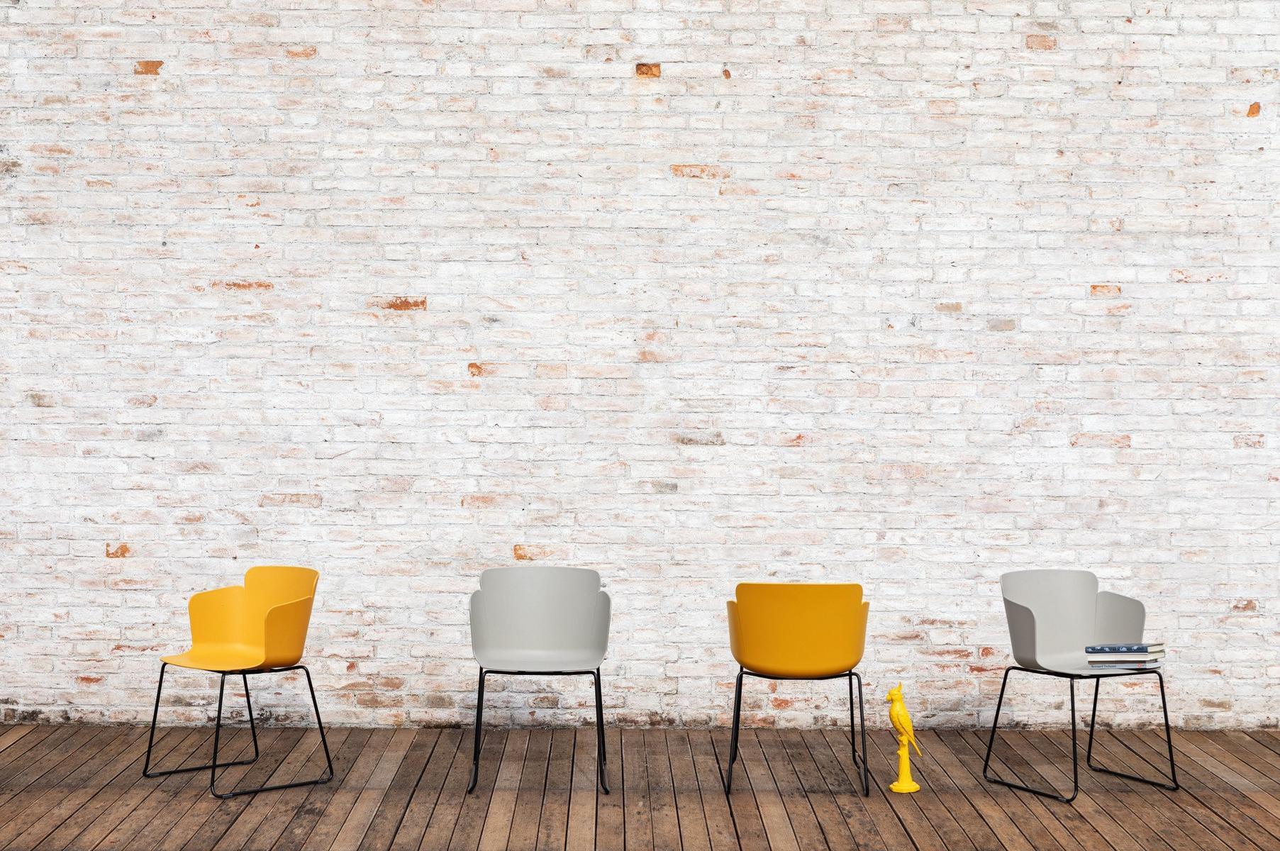 CALLA PM T PP Sled base polypropylene chair with armrests