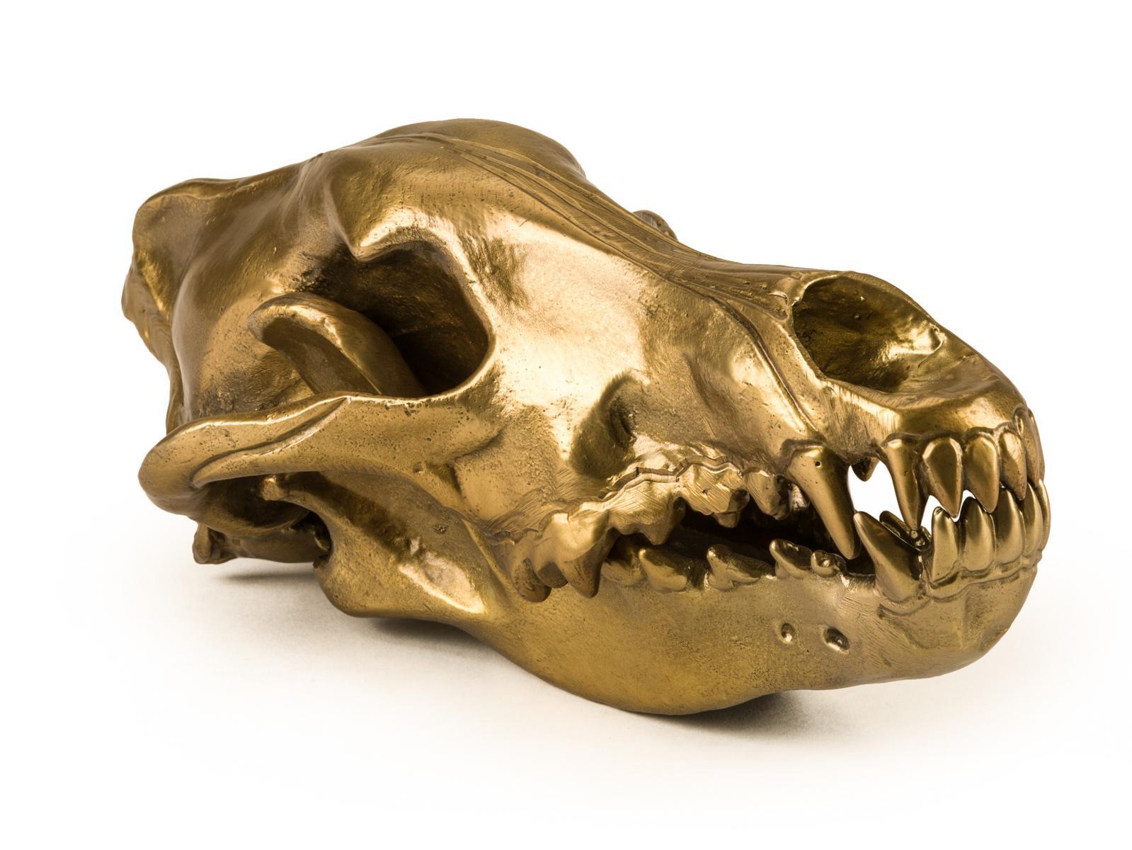 WOLF SKULL Aluminium decorative object