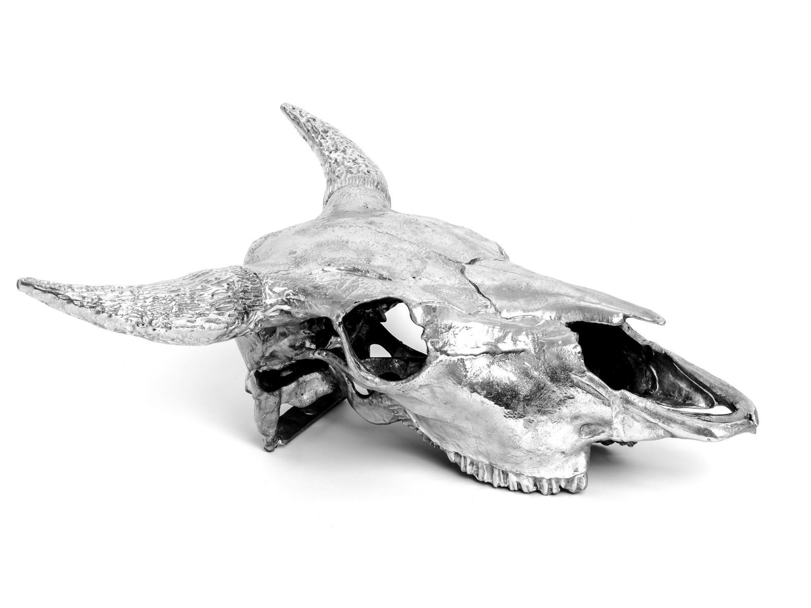 BISON SKULL Aluminium decorative object