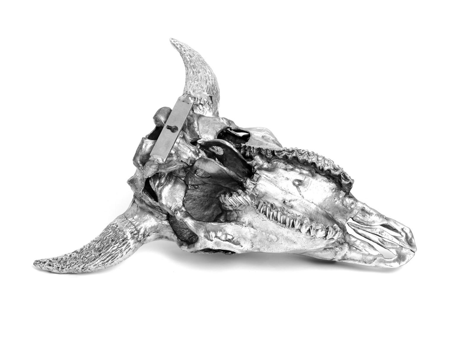 BISON SKULL Aluminium decorative object