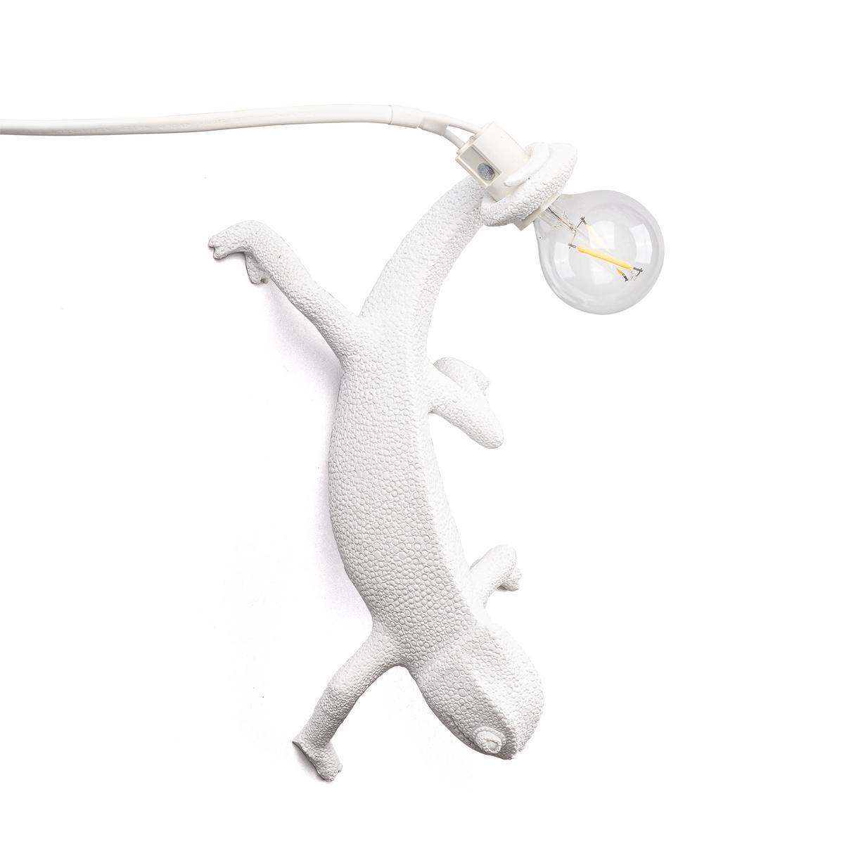 CHAMELEON GOING DOWN LED resin wall lamp